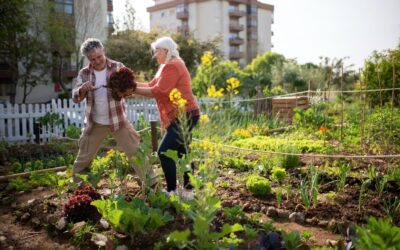 How-to Eco-iffy a Garden?