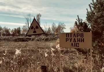 Chernobyl Transformed Into A Nature Reserve