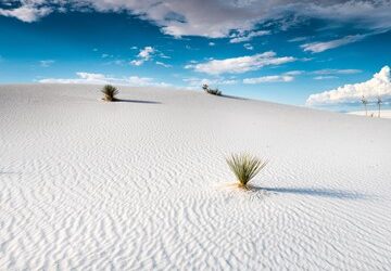 New Mexico’s White Sands National Park Is Otherworldly