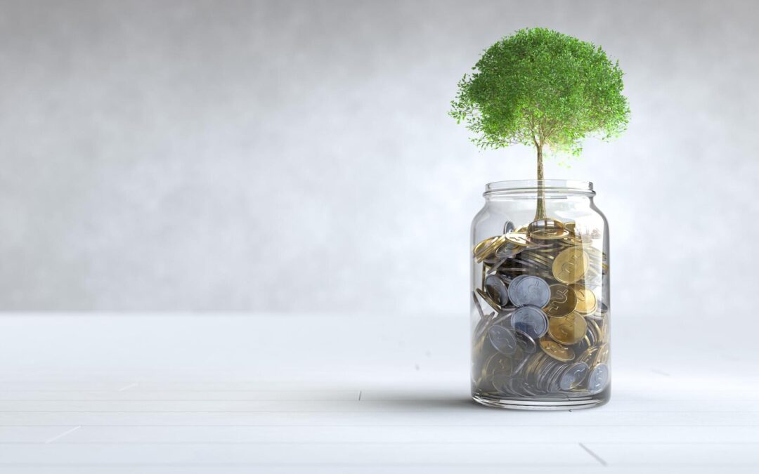 Sustainable Savings: How Financial Resources Can Make Green Living Easier