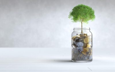 Sustainable Savings: How Financial Resources Can Make Green Living Easier